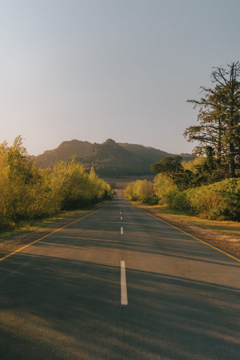 birthday 24 09 07 61 optimized