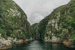 collection 25 12 12 18